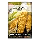 Photo Sow Right Seeds - Bantam Sweet Corn Seed for Planting - Non-GMO Heirloom Packet with Instructions to Plant a Home Vegetable Garden, best price $5.49, bestseller 2024