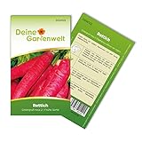 Foto Rettich Ostergruß rosa 2 Samen - Raphanus sativus - Rettichsamen - Gemüsesamen - Saatgut für 150 Pflanzen, bester Preis 1,99 € (0,01 € / stück), Bestseller 2025