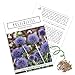 Kugeldistel Samen (Echinops ritro) - Bienenfreundliche Blumen mit blauen Blütenköpfen für eine bunte Blumenwiese, das Beet, den Balkon und die Terrasse neu 2024