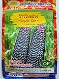 Photo Thai Purple Waxy Glutinous Corn Seeds, best price $6.99 ($13.19 / Ounce), bestseller 2024