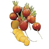 Photo Burpee Golden Beet Seeds 200 seeds, best price $7.83, bestseller 2024