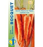 Photo Sachet de graines de Carotte géante de Tilques - 2 g - légume racine - LES GRAINES BOCQUET, meilleur prix 5,49 € (2 745,00 € / kg), best-seller 2024