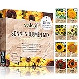 Foto valeaf Sonnenblumen Samen Set I 8 Sorten Sonnenblumensamen I Sonnenblume Blumensamen im praktischen Pflanzen Set I Sommerblumen Samen Wildblumenmischung I Pflanzen Samen ideal als Blumensamen Geschenk, bester Preis 9,99 € (1,25 € / count), Bestseller 2024