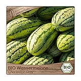 Foto Samenliebe BIO Wassermelonen Samen Charleston Gray süße Riesenmelone lange Melone rot 10 Samen samenfestes Gemüse Saatgut für Gewächshaus Freiland und Balkon BIO Gemüsesamen, bester Preis 3,59 €, Bestseller 2024