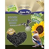 Foto Lyra Pet® 25 kg Sonnenblumenkerne schwarz HK Österreich Vogelfutter Vögel Wildvögel Wildvogelfutter Winterfutter Körner, bester Preis 35,99 € (1,44 € / kg), Bestseller 2024