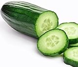 Photo Grown in USA! 30+ Muncher Burpless Sweet Cucumber Seeds, Heirloom Non-GMO, Non-Bitter and Acid Free, Crispy and Sweet, Fragrant and Delicious, Cucumis sativus, best price $2.69 ($25.43 / Ounce), bestseller 2025