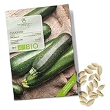 Foto BIO Zucchini Samen (Nero di Milano) - Zucchini Saatgut aus biologischem Anbau ideal für die Anzucht im Garten, Balkon oder Terrasse, bester Preis 4,90 €, Bestseller 2024