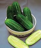 Photo Cucumber, National Pickling Cucumber Seed, Heirloom,25 Seeds, Great for Pickling, best price $1.99 ($0.08 / Count), bestseller 2025