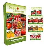 Foto Tomatensamen Set - 10 Sorten Samen - Saatgut Sortiment - Anzuchtset für Tomatenpflanzen - Geschenkset - Stabtomaten, Balkontomaten, Flaschentomaten und mehr, bester Preis 7,95 € (0,80 € / stück), Bestseller 2025