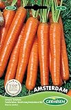 Foto Germisem Amsterdam Semillas de Zanahoria 6 g, mejor precio 2,21 €, éxito de ventas 2024