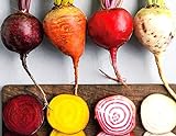 Photo Rainbow Mix Heirloom Beet Seeds Gold, White, Red and Chioggia! bin316 (180+ Seeds, or 1/8 oz), best price $4.39, bestseller 2024