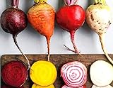 Photo Rainbow Mix Heirloom Beet Seeds Gold, White, Red and Chioggia! bin316 (180+ Seeds, or 1/8 oz), best price $4.39, bestseller 2025