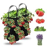 Foto Ulikey 2Pcs Bolsas de Cultivo de Fresa, 3 Gallones Bolsa para Plantas Fresas Bolsa de Macetas Colgantes con Asas No Tejidos Transpirables con 13 Agujeros para Papas, Tomates y Fresas (2pcs - Negro), mejor precio 12,99 €, éxito de ventas 2025