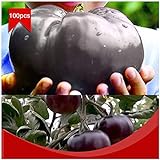 Foto Portal Cool 100pcs / bolsa de carne de vaca gigante Negro híbridos de tomate Semillas orgánicos de la herencia del jardín del tomate, mejor precio 4,99 €, éxito de ventas 2024