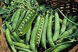 Photo Green Arrow Pea Seeds - 50 Count Seed Pack - Non-GMO - A shelling Pea Variety That is Very Easy to Grow and thrives in Cold Weather. Excellent for Canning or Freezing. - Country Creek LLC, best price $2.99, bestseller 2024