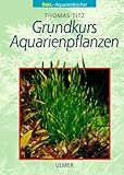 Foto Grundkurs Aquarienpflanzen, bester Preis 1,97 €, Bestseller 2025