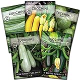 Photo Sow Right Seeds - Zucchini Squash Seed Collection for Planting - Black Beauty, Cocozelle, Grey, Round, and Golden - Non-GMO Heirloom Packet to Plant a Home Vegetable Garden - Productive Summer Squash, best price $10.99, bestseller 2024