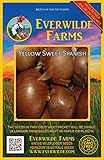 Photo Everwilde Farms - 500 Yellow Sweet Spanish Onion Seeds - Gold Vault Jumbo Seed Packet, best price $2.98, bestseller 2025