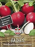 Foto 82148 Sperli Premium Radieschen Samen Riesenbutter ; Groß, Knackig, Aromatisch ; Radieschen Saatgut, bester Preis 3,47 €, Bestseller 2024
