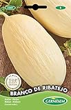 Foto Germisem Branco de Ribatejo Semillas de Melón 3 g (EC5001), mejor precio 2,70 €, éxito de ventas 2025