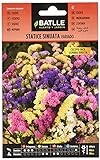 Foto Semillas de Flores - Statice Sinuata variado - Batlle, mejor precio 1,88 €, éxito de ventas 2024