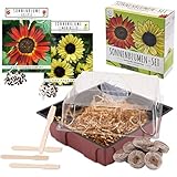 Foto Set de cultivo de girasoles - juego de plantación de mini-invernadero, semillas y tierra - idea de regalo (Eclipse + Amarillo lima), mejor precio 15,90 €, éxito de ventas 2025