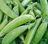 Photo Pea Seed, Sugar Snap Pea, Heirloom, Non GMO, 20 Seeds, Perfect Peas, Country Creek Acres, best price $1.99, bestseller 2024