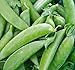 Pea Seed, Sugar Snap Pea, Heirloom, Non GMO, 20 Seeds, Perfect Peas, Country Creek Acres new 2024