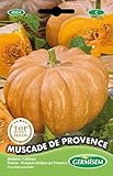 Foto Germisem Muscade de Provence Semillas de Calabaza 3 g, mejor precio 2,21 €, éxito de ventas 2025