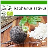 Foto SAFLAX - Ecológico - Rábano - Español Negro - 100 semillas - Con sustrato estéril para cultivo - Raphanus sativus, mejor precio 4,45 €, éxito de ventas 2025