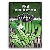 Photo Survival Garden Seeds - Sugar Daddy Snap Pea Seed for Planting - Packet with Instructions to Plant and Grow in Delicious Pea Pods Your Home Vegetable Garden - Non-GMO Heirloom Variety, best price $5.49, bestseller 2024