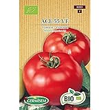 Foto Germisem Orgánica ACE 55 VF Semillas de Tomate 0.5 g (ECBIO8019), mejor precio 3,99 €, éxito de ventas 2025