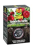 Foto Compo AGROSIL Estimulador de raíces, Ayuda efectiva para el enraizamiento, 0,7 kg, mejor precio 9,39 €, éxito de ventas 2024