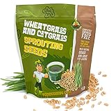 Photo Todd's Seeds - 1 Pound of Wheatgrass Seeds - Non GMO Sprouting Seeds - Grind Into Whole Wheat Flour - Pet Grass - Cat Grass for Indoor Cats - Wheat Grass Seeds, best price $9.95 ($9.95 / Pound), bestseller 2024