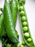 Photo Pea Little Marvel Great Heirloom Vegetable 1,200 Seeds by Seed Kingdom, best price $11.95, bestseller 2025