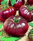 Photo CEMEHA SEEDS - Black Prince Tomato Determinate Non GMO Vegetable for Planting, best price $6.95 ($0.14 / Count), bestseller 2024