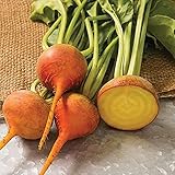 Photo David's Garden Seeds Beet Boldor 3122 (Yellow) 200 Non-GMO, Open Pollinated Seeds, best price $3.95, bestseller 2025