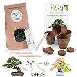 Foto Bonsai Kit incl. eBook GRATUITO - Set con macetas de coco, semillas y tierra - idea de regalo sostenible para los amantes de las plantas (Pino Piñonero + Árbol del Ámbar), mejor precio 16,90 €, éxito de ventas 2025