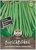 Foto 80039 Sperli Premium Buschbohnen Samen Delinel | Ertragreich | Fadenlos | Buschbohnen Samen ohne Fäden | Ackerbohnen Saatgut, bester Preis 4,29 €, Bestseller 2024