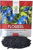 Photo Morning Glory Seeds Heavenly Blue - Large 1 Ounce Packet - Over 1,000 Flower Seeds, best price $7.97, bestseller 2024