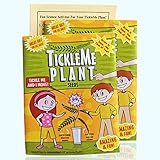 Photo TickleMe Plant Seeds Packets (2) Easter Egg Stuffer, Earth Day or Party Favor! Leaves Fold Together When You Tickle It. Great Science Fun, Green and Educational., best price $9.95 ($4.98 / Count), bestseller 2024