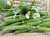 Photo David's Garden Seeds Pea Shelling Green Arrow 2244 (Green) 100 Non-GMO, Heirloom Seeds, best price $3.45, bestseller 2024