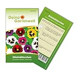 Foto Stiefmütterchen Schweizer Riesen Mischung Samen - Viola wittrockiana - Stiefmütterchensamen - Blumensamen - Saatgut für 50 Pflanzen, bester Preis 1,99 € (0,04 € / stück), Bestseller 2025