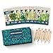 9 Herb Garden Seeds for Planting - USDA Certified Organic Herb Seed Packets - Non GMO Heirloom Seeds - Plant Markers & Gift Box - Tulsi Holy Basil, Cilantro, Mint, Dill, Sage, Arugula, Thyme, Chives new 2024