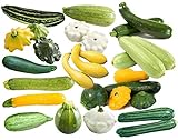 Photo This is a Mix!!! 50+ Zucchini and Squash Mix Seeds 12 Varieties Non-GMO Delicious Grown in USA. Rare, Super Profilic, best price $6.79 ($0.14 / Count), bestseller 2025