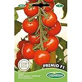 Foto Germisem Premio F1 Tomate 20 Semillas, EC8014, mejor precio 3,68 €, éxito de ventas 2025