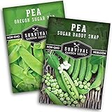 Photo Survival Garden Seeds Sugar Peas Collection Seed Vault - Oregon Sugar Pod II Pea & Sugar Daddy Snap Pea - Non-GMO Heirloom Varieties to Grow Delicious Cool Weather Vegetables on Your Homestead, best price $7.99, bestseller 2024