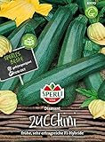 Foto 83570 Sperli Premium Zucchini Samen Diamant | Zucchini Saatgut | Zuchini Samen | Samen Zucchini | Lange Ernte | Zuchini Saatgut | F1, bester Preis 4,97 €, Bestseller 2024