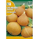 Foto Semillas de Calabaza potimarron, mejor precio 1,62 €, éxito de ventas 2025