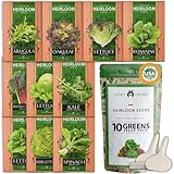 Photo 10 Heirloom Lettuce and Leafy Greens Seeds - 1500 Seeds - Non GMO Seeds for Planting - Kale, Spinach, Butter, Oak, Romaine, Iceberg, Bibb, Arugula | Hydroponic Home Vegetable, best price $15.98 ($0.01 / Count), bestseller 2024